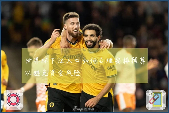 世界杯下注入口如何合理安排预算以避免资金风险