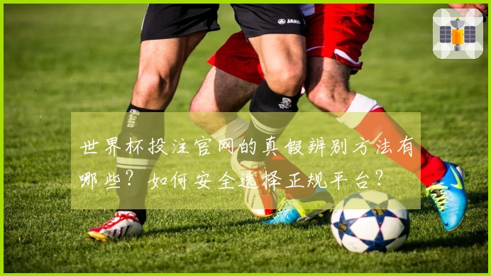 世界杯投注官网的真假辨别方法有哪些？如何安全选择正规平台？