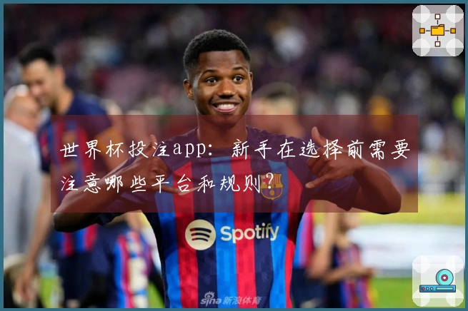 世界杯投注app：新手在选择前需要注意哪些平台和规则？