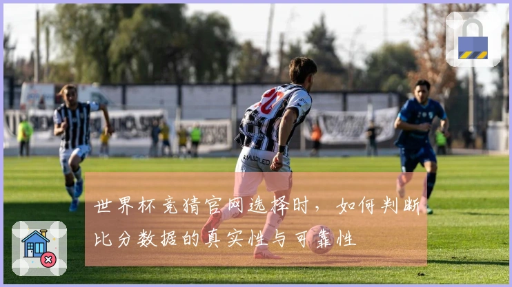 世界杯竞猜官网选择时，如何判断比分数据的真实性与可靠性