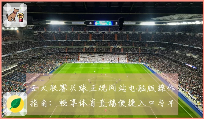 五大联赛买球正规网站电脑版操作指南：畅享体育直播便捷入口与丰富功能