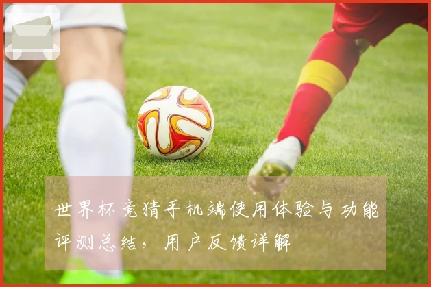 世界杯竞猜手机端使用体验与功能评测总结，用户反馈详解