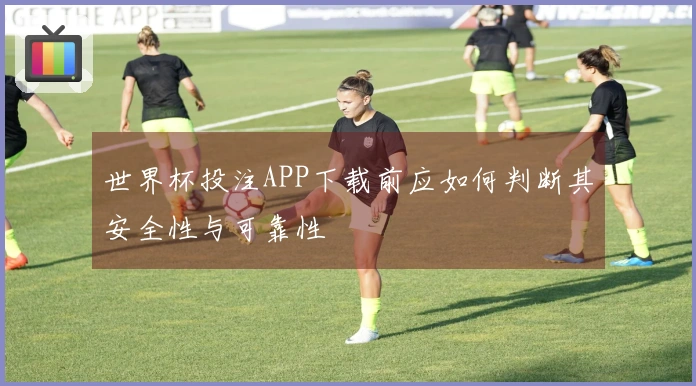 世界杯投注APP下载前应如何判断其安全性与可靠性