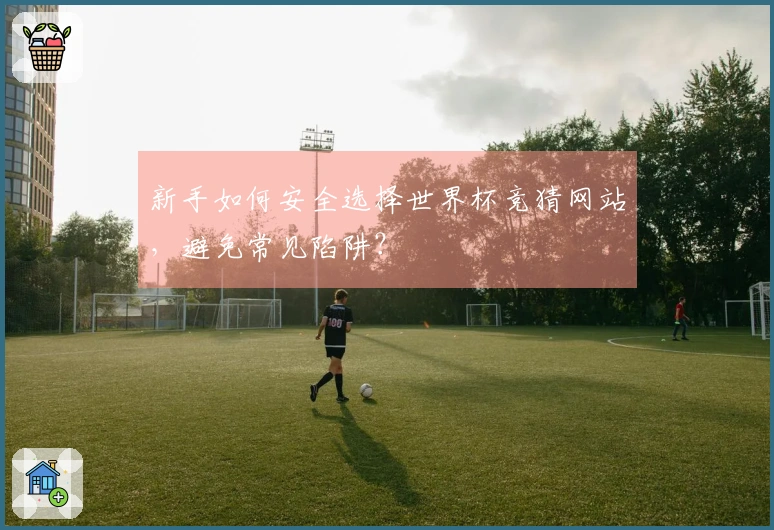 新手如何安全选择世界杯竞猜网站，避免常见陷阱？