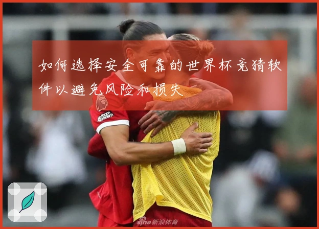 如何选择安全可靠的世界杯竞猜软件以避免风险和损失