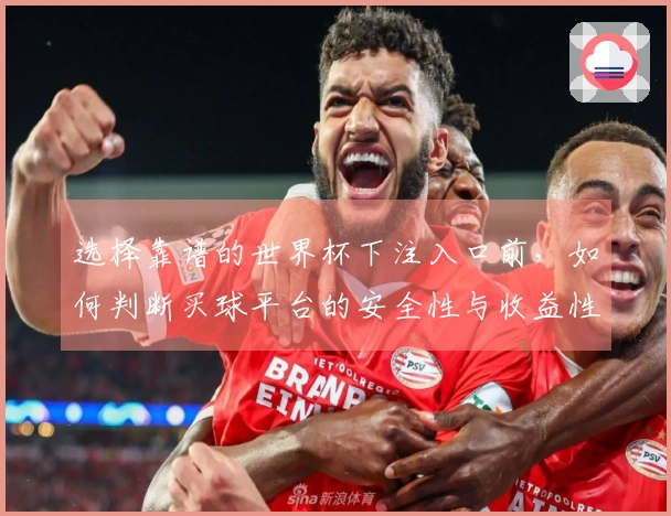 选择靠谱的世界杯下注入口前，如何判断买球平台的安全性与收益性