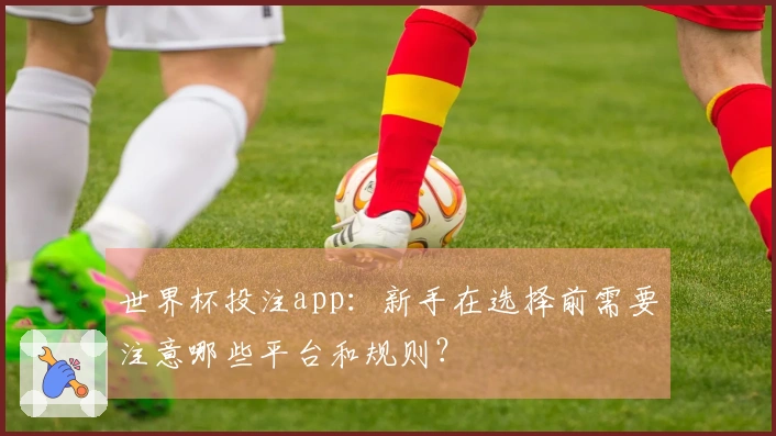 世界杯投注app：新手在选择前需要注意哪些平台和规则？